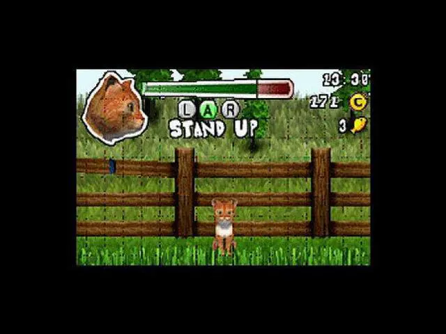 Alt view image 4 of 7 - Paws & Claws: Dogs & Cats Best Friends Nintendo DS Game