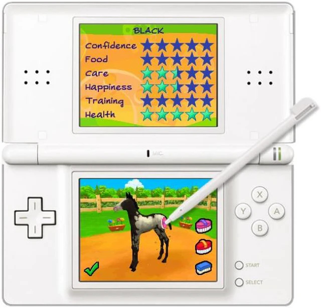 Alt view image 2 of 6 - Petz Horsez 2 Nintendo DS Game