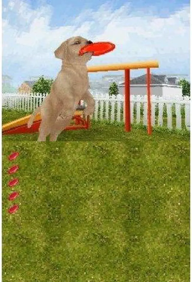 Main image of Petz Dogz: Talent Show Nintendo DS Game