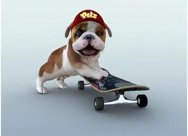 Alt view image 3 of 3 - Petz Dogz: Talent Show Nintendo DS Game