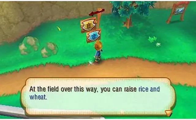 Alt view image 2 of 8 - Story of Seasons Nintendo 3DS