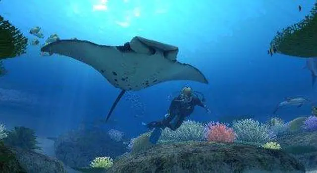 Alt view image 2 of 20 - Endless Ocean Wii Game