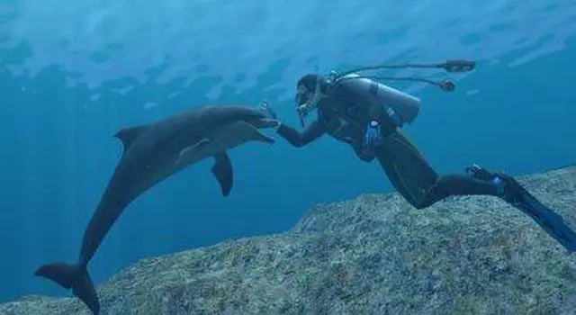 Alt view image 3 of 20 - Endless Ocean Wii Game