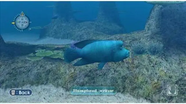 Alt view image 5 of 20 - Endless Ocean Wii Game