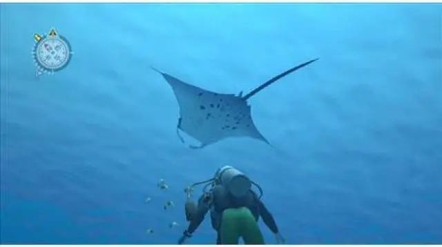 Alt view image 7 of 20 - Endless Ocean Wii Game