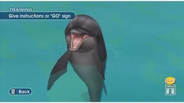 Alt view image 20 of 20 - Endless Ocean Wii Game