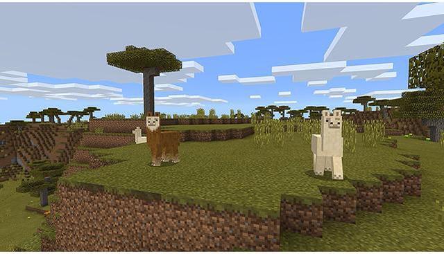Alt view image 7 of 9 - Minecraft - Nintendo Switch
