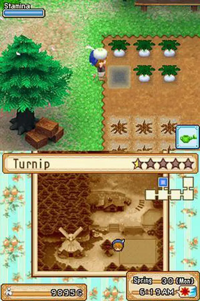 Alt view image 3 of 11 - Harvest Moon Grand Bazaar Nintendo DS Game