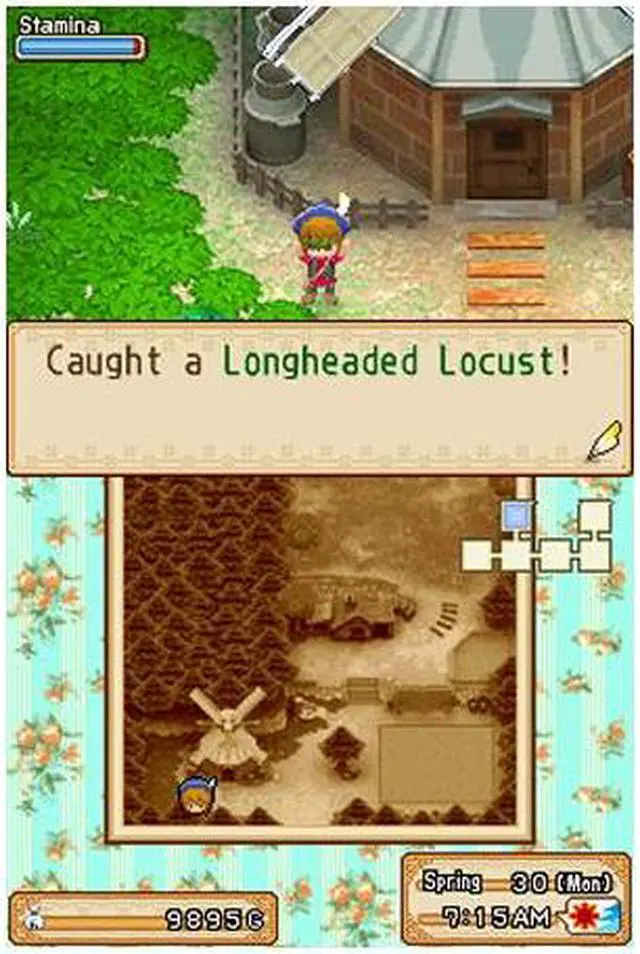 Alt view image 4 of 11 - Harvest Moon Grand Bazaar Nintendo DS Game