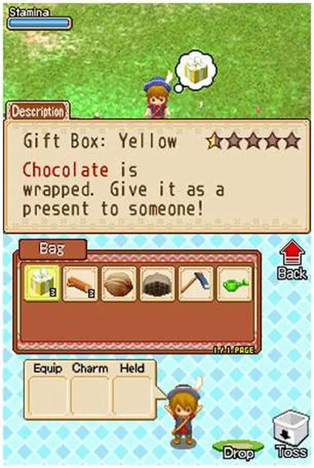 Alt view image 5 of 11 - Harvest Moon Grand Bazaar Nintendo DS Game