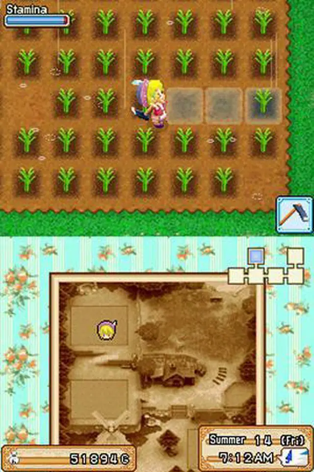 Alt view image 9 of 11 - Harvest Moon Grand Bazaar Nintendo DS Game