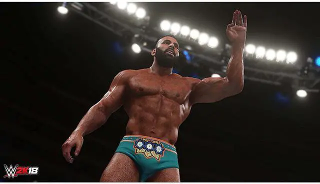 Alt view image 5 of 8 - WWE 2K18 Deluxe Edition - PlayStation 4