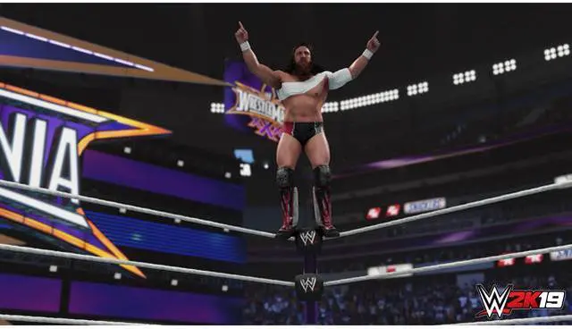 Alt view image 7 of 11 - WWE 2K19 Deluxe Edition - PlayStation 4