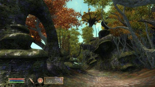 The Elder Scrolls IV: Shivering Isles Playstation3 Game - Newegg.com