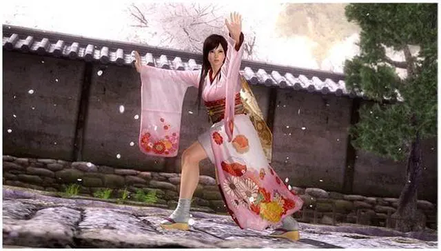 Alt view image 7 of 8 - Dead or Alive 5 Playstation3 Game