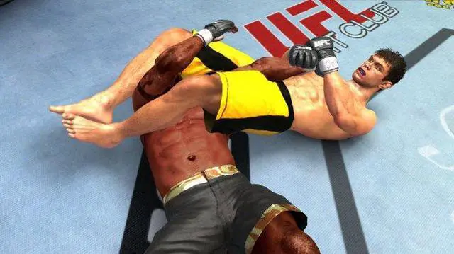Main image of UFC 2009: Undisputed Playstation3 Game