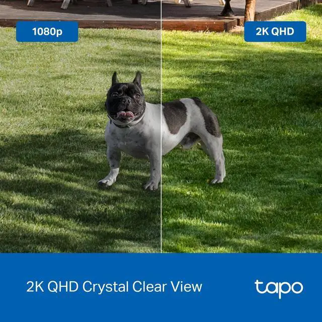 Alt view image 6 of 7 - TP-Link Tapo Wire-Free MagCam, Indoor/Outdoor 2K Battery Powered Smart Security Camera, Magnetic Mount, Starlight Color Night Vision, Person/Pet/Vehicle Detection, SD/Cloud Storage, 2.4GHz Wi-Fi (Tapo C425)