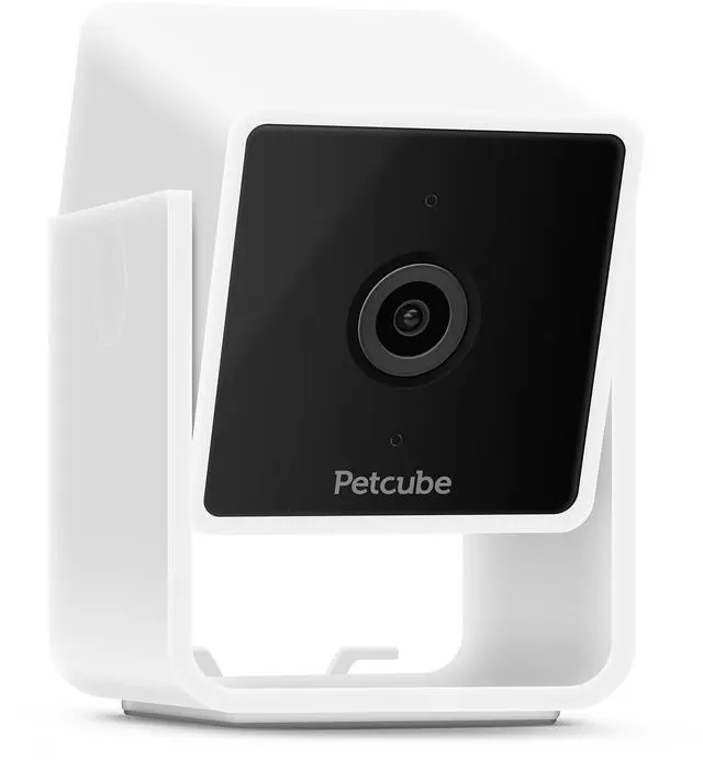 Alt view image 3 of 4 - Petcube Cam, Interactive WiFi Pet and Home Security Camera | CC10US