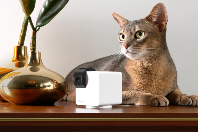 Alt view image 5 of 5 - Petcube Cam 360, Camera Interactive WiFi Pet and Home Security Pan-Tilt Camera | P36010US