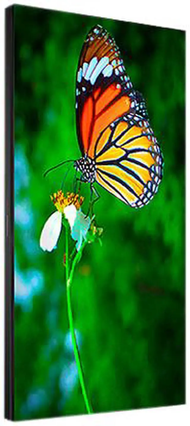 Alt view image 3 of 8 - NEC UN552S 55" Ultra Narrow Bezel Full HD Video Wall Display with Internal Media Player, Raspberry Pi Compute Module Slot, Landscape/Portrait, 24/7