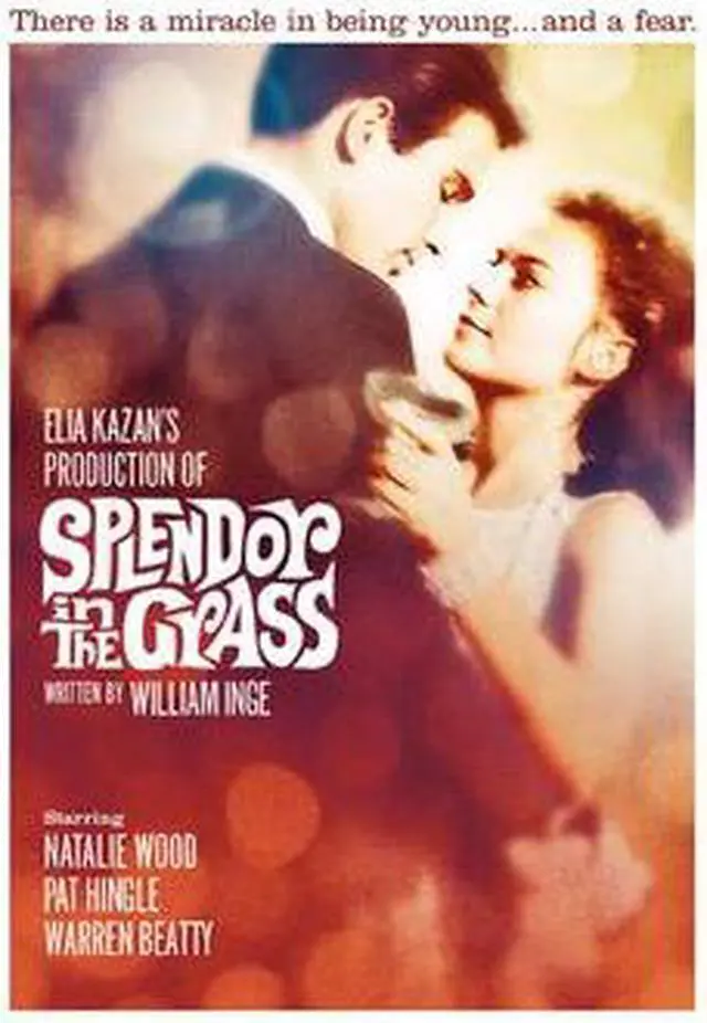 Main image of Splendor In The Grass Natalie Wood, Warren Beatty, Pat Hingle, Audrey Christie, Barbara Loden, Zohra Lampert, Fred Stewart, Joanna Roos, Jan Norris, Gary Lockwood