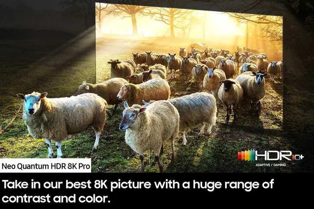 Alt view image 11 of 12 - Samsung 65” Class QN900D Series Neo QLED 8K Smart Tizen TV (QN65QN900DFXZA, 2024)