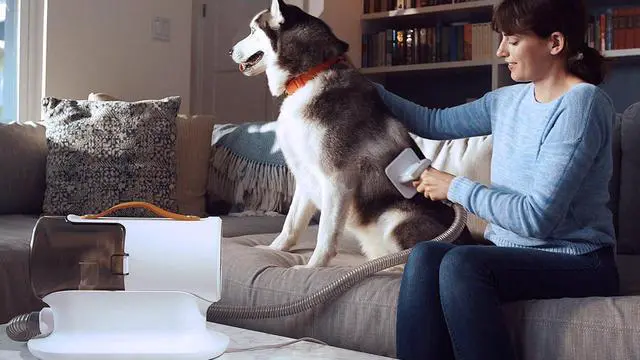 Alt view image 8 of 9 - AIRROBO PG100 Pet Grooming Vacuum (12000pa Suction) 5 Grooming Tools, 2L Dust Cup
