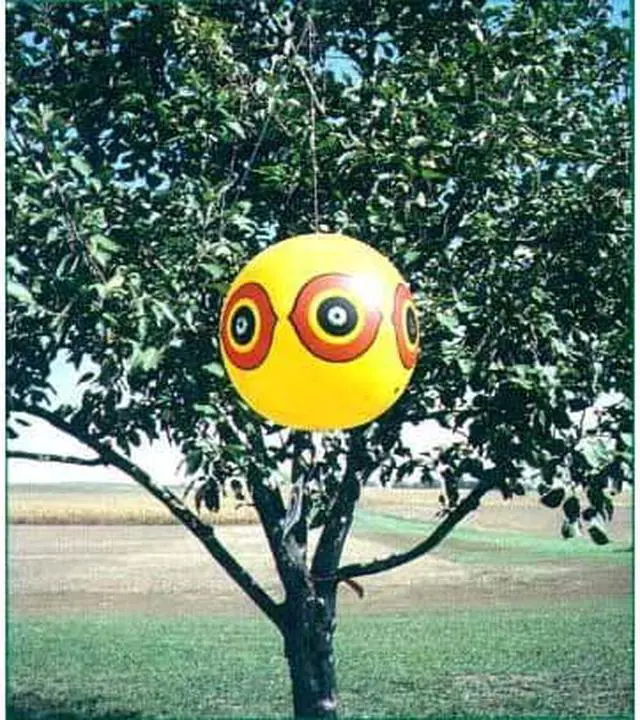 Main image of Bird-X SE-Y Scare-Eye Balloon Frighten Birds Away