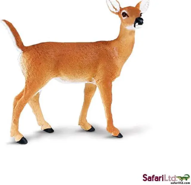 Alt view image 2 of 8 - North American Wildlife: Whitetail Doe