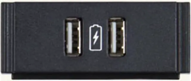 Alt view image 3 of 5 - AMX Dual USB Power Module with Printed Charging Symbol