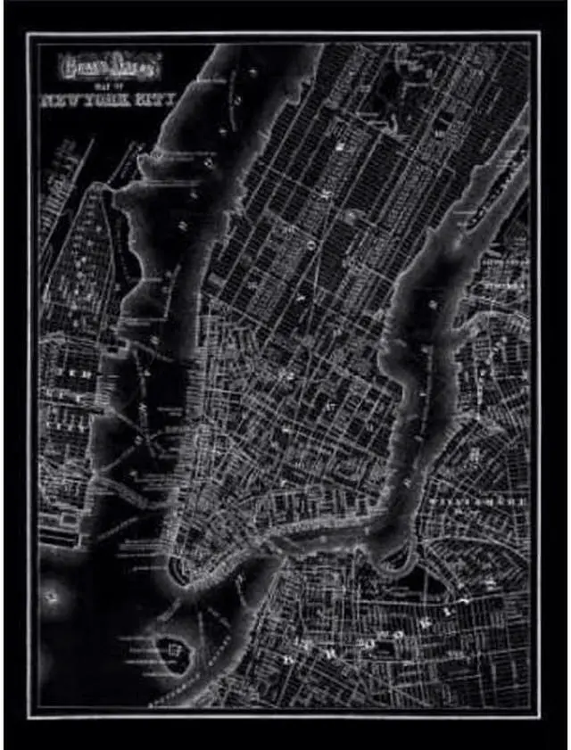 Main image of Classic Collections PDXCC3316SMALL New York 1895 Poster Print by 1895 Vintage Map, 9 x 12 - Small