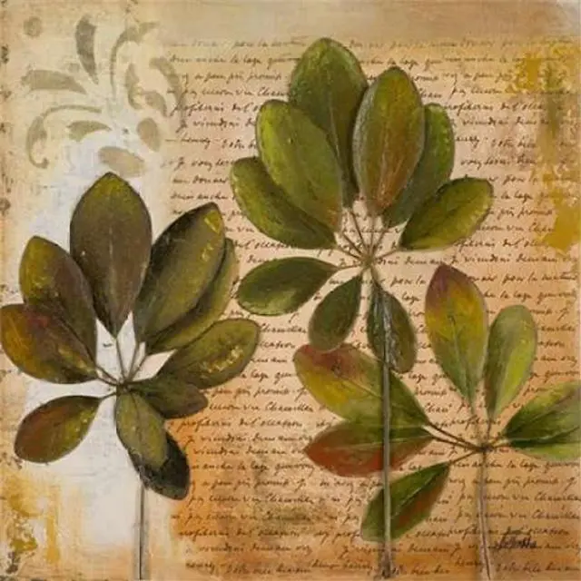 Main image of Sun Dance Graphics PDX7648SMALL Botanica I Poster Print by Patricia Pinto, 12 x 12 - Small