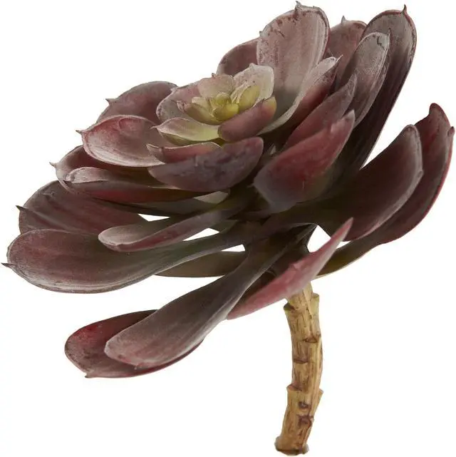 Alt view image 8 of 11 - Nearly Natural 6105-BG-S12 6 in. Echeveria Succulent Plant, Burgundy - Set of 12
