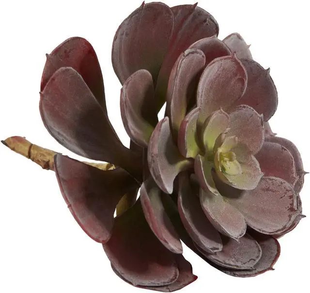 Alt view image 9 of 11 - Nearly Natural 6105-BG-S12 6 in. Echeveria Succulent Plant, Burgundy - Set of 12