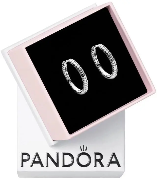 Alt view image 2 of 3 - Pandora Moments Small Charm Hoop Earrings