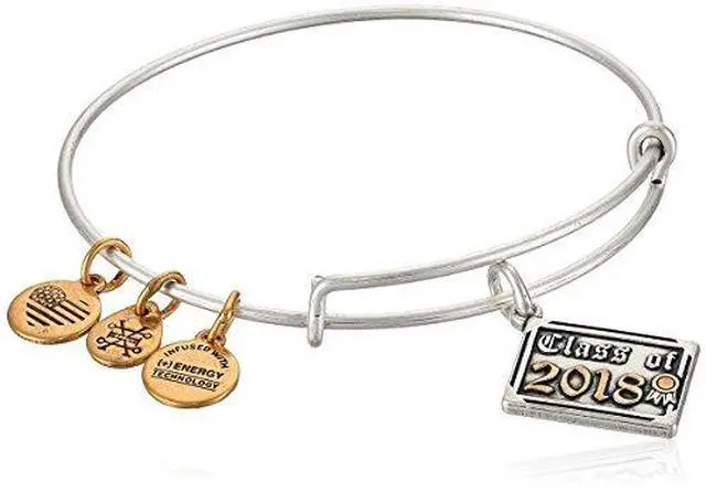 Alt view image 2 of 3 - Alex And Ani Class Of 2018 Silver Charm Bangle - A18EB03TTRS