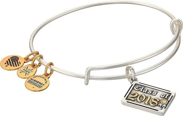 Alt view image 3 of 3 - Alex And Ani Class Of 2018 Silver Charm Bangle - A18EB03TTRS