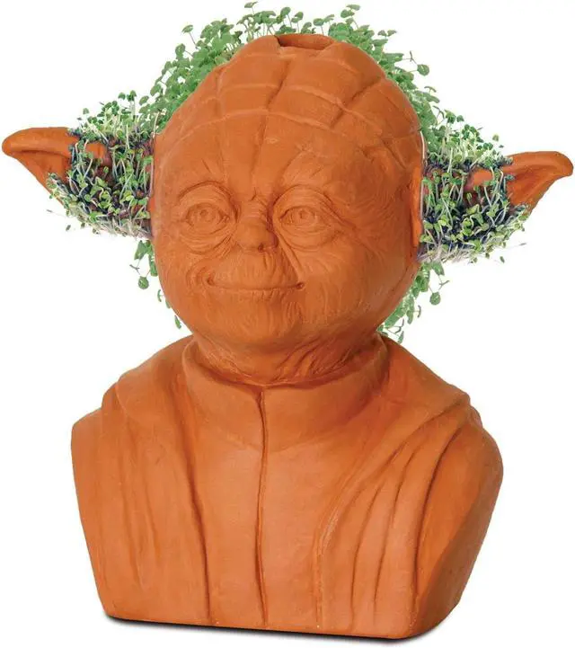 Alt view image 2 of 10 - Star Wars Yoda Chia Pet Decorative Planter