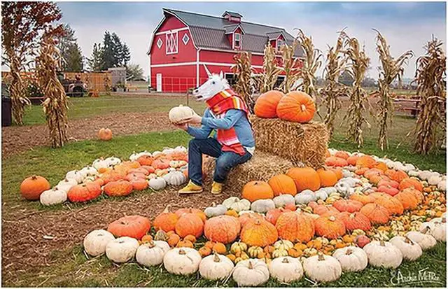 Alt view image 2 of 3 - Lord Unicorn and His Pumpkin Kingdom 1000 Piece Jigsaw Puzzle