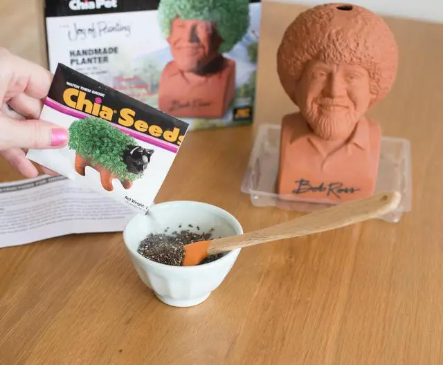 Alt view image 6 of 11 - Chia Pet Planter - Bob Ross