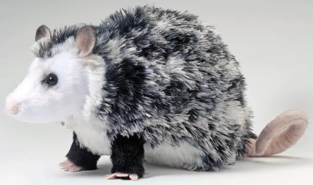 Main image of Oliver Possum 9" Plush By Douglas Cuddle Toys