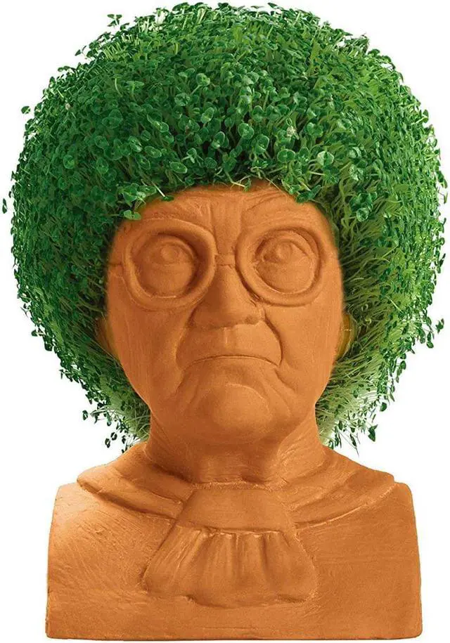 Alt view image 3 of 9 - Golden Girls Chia Pet Sophia Decorative Pottery Planter