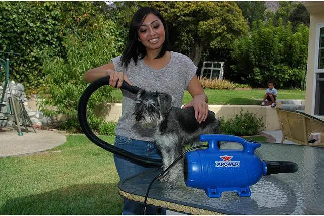 Alt view image 7 of 15 - XPOWER B-24 Thermal Ace 3 HP Dog Grooming Force Pet Dryer with 2 Heat Settings