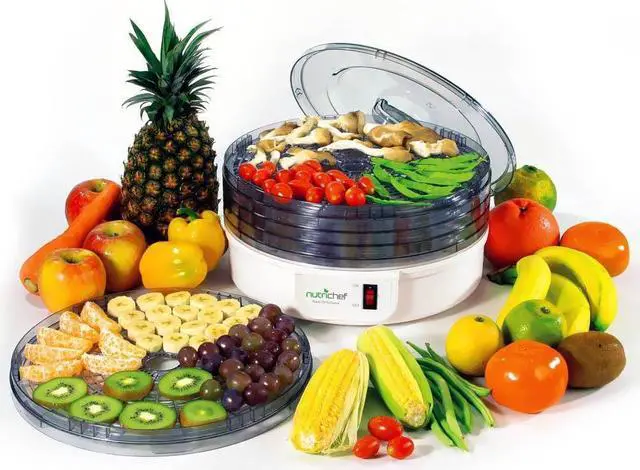 Alt view image 10 of 12 - PYLE HOME PKFD12 Nutrichef Electric Countertop Food Dehydrator/Food Preserver