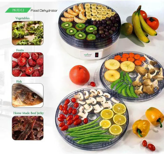 Alt view image 9 of 12 - PYLE HOME PKFD12 Nutrichef Electric Countertop Food Dehydrator/Food Preserver