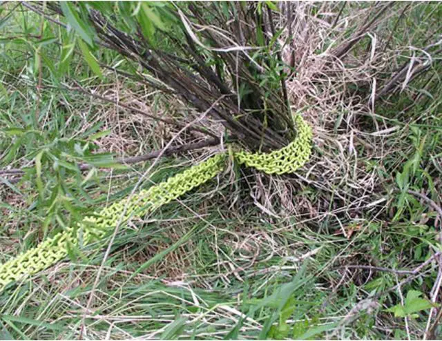 Alt view image 6 of 9 - BRUSH GRUBBER BG-19 Shrub Clump Grubber,HD