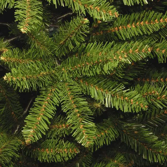Alt view image 4 of 8 - National Tree Company KW750070 7' Kingswood Fir Pencil Tree - 29" x 29" x 84" - Green Tree, Green Tree Stand