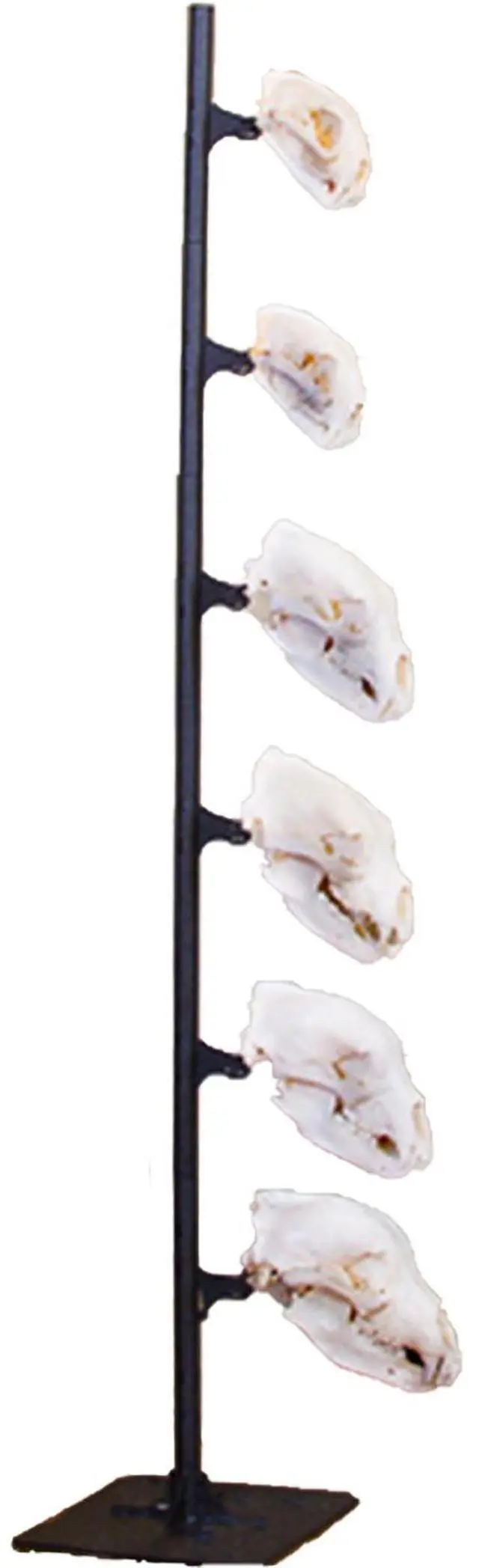 Alt view image 5 of 16 - Skull Hooker Skull Hooker Trophy Tree Floor Display 5 Brackets Black