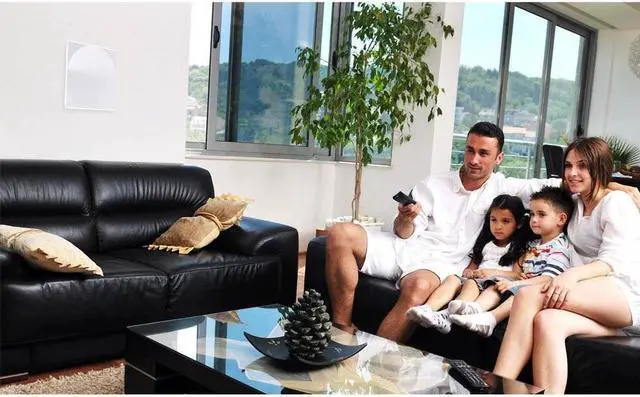 Alt view image 7 of 7 - PYLE  PDIC86  8.0" In-Wall / In-Ceiling Dual Stereo Speakers, 250 Watt, 2-Way, Flush Mount