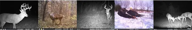 Alt view image 12 of 20 - Cuddeback 20MP G-Series PowerHouse Black Flash Trail Camera, CuddeLink Networked